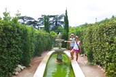 Никитский ботанический сад, Лабиринт из живой изгороди